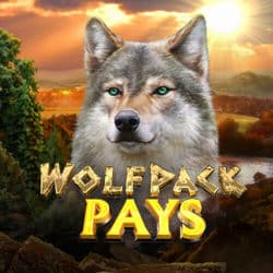 Wolfpack Pays WolfpackPays